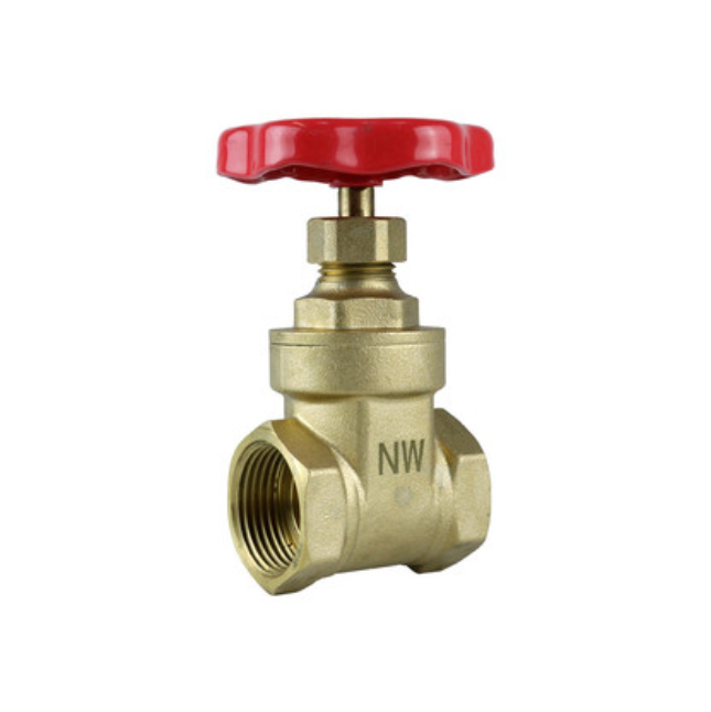 GENBRA Gate Valve FI x FI BSP (Brass/Red Handle) 1/2" – BFGV-D