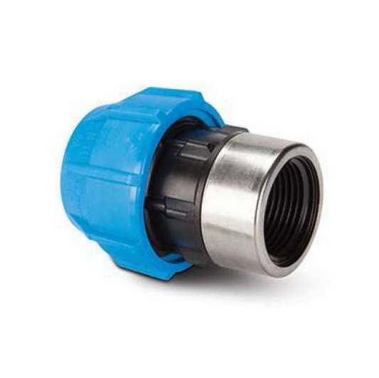 Polyguard BSP Female Adaptor (Black/Blue) 25mm x ¾" – PGF40325