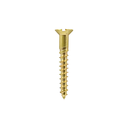 Tradesave Brass Countersunk Wood Screw 50.8mm x 10 x 2" – TB210CSS